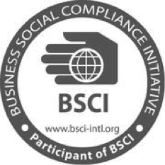 BSCI logo BSCI logo